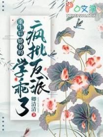 重生后我娇养了反派正北王