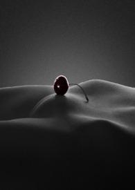 顶风作案by蒙面咸鱼全文免费阅读