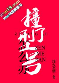 撞了型号怎么办第30章