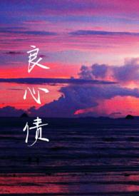 良心第5集