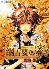 fatezero纲吉要回家免费