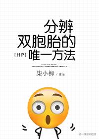 hp辨别双胞胎