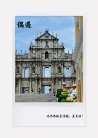 偶遇的解释是什么