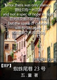 蜘蛛尾巷的爱情往事