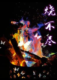 烧不尽 百度