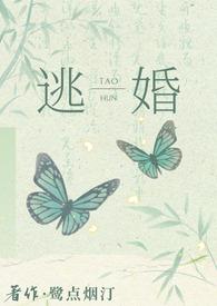 逃婚之后全文免费阅读玄