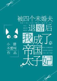 被四个未婚夫退婚后我成了帝国太子妃 小猫不爱叫