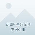 全民领主我的天赋是百倍奖励