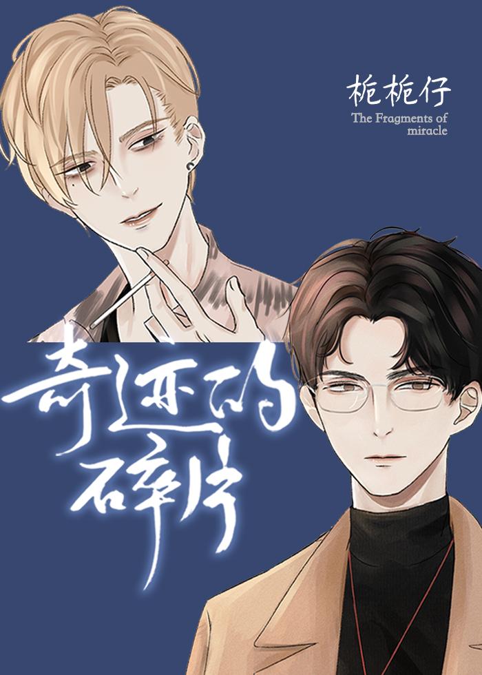 奇迹的碎片全文番外TXT