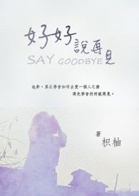 好好说再见电视剧