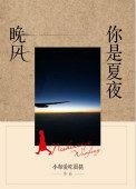 你是夏夜的风景什么歌