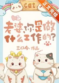 老婆你是做什么工作的番外