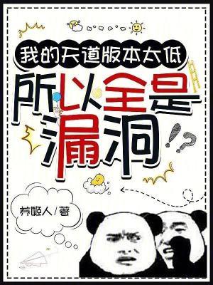 所以全是漏洞全文免费阅读软件