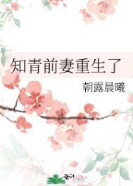 知青前妻重生了沈海洋沈辉全文