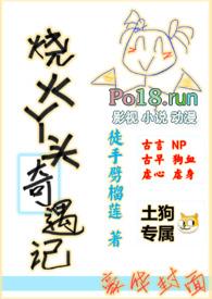 烧火丫鬟喜洋洋盘txt