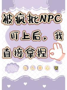 被npc看上后我炸了系统