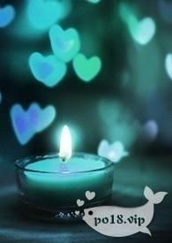 剧本的世界(np)完结版