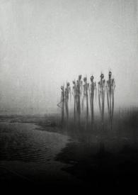 变异人的外国电影