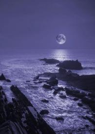 暗夜作者的