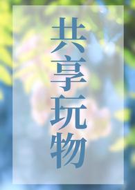 共享玩物np高H文