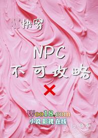 npc系列攻略