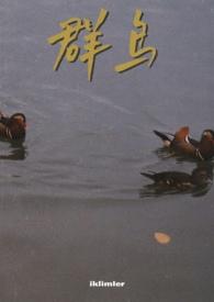 群鸟纷飞