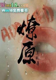 燎原by不问三九txt 百度