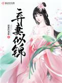弃妻似锦 百度