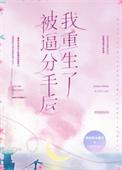 我被前男友倒追了