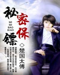 神秘保镖3