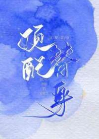 低配版替身全文阅读