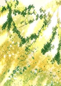 阴暗普女但第三者