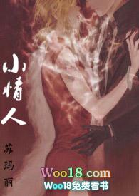 小情人电视剧的