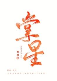掌星传媒