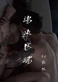 浅水区的意思