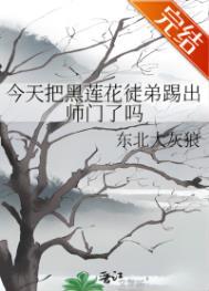 黑莲花今天洗白了吗45