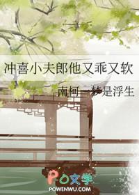 冲喜小夫郎全文春汉