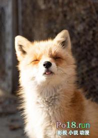 睡了反派男二之后免费阅读