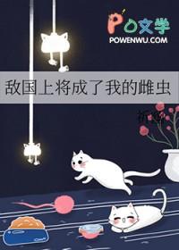 敌国将领