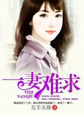 一妻难求完整版