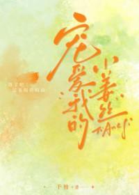 我宠爱的小丫头不见了全文免费阅读