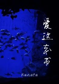 法国替身 这本书