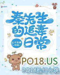 秦先生的追妻日常免费阅读