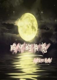 眸中眸是什么意思