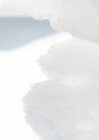 校园女生病娇模组