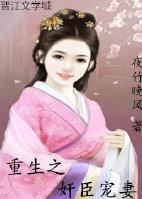 重生之佞臣gl第四十三章