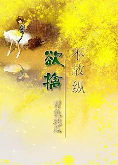 欲擒故纵后半句