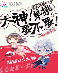 菜鸟vs高手和大神