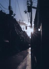 你是我的曙光作者余袅袅