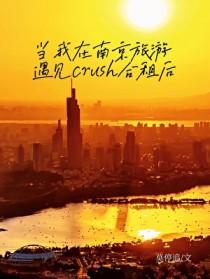当我在南京旅游遇见CRush结局